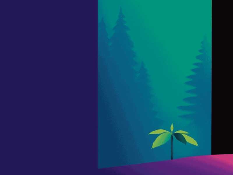 El arte de la conexión